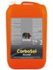 Bild von CarboSol Grund PGS 50 01 05