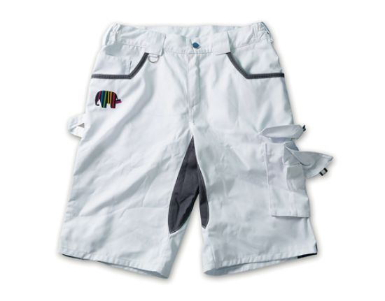Bild von Maler Short Pro PGS 81 22 11 N